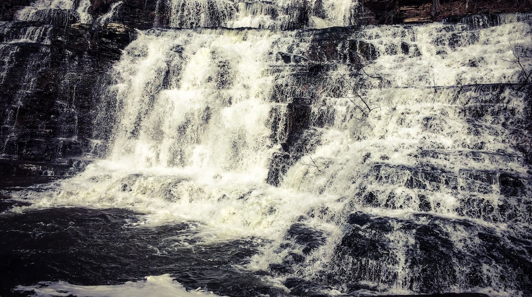 Just happened to find these falls via Pinterest, didn't expect these to be so amazing. The picture doesn't do this justice.
Cullman, Alabama is home to one of the largest waterfalls in the state. Larkwood Falls is located in the Larkwood subdivision, a neighborhood built near Lake Catoma in Cullman. The waterfall is the natural spill-over from the lake and is active year round. The falls are well-hidden, but well-worth finding for the waterfall lover. The falls are over 75 feet tall and 100 feet wide.