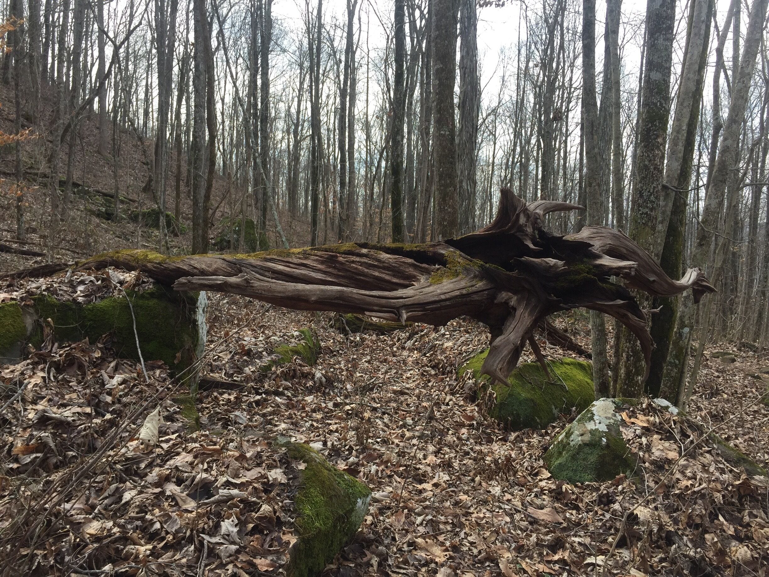 One of many beautiful sights along the #WallsofJericho trail. #nofilter 