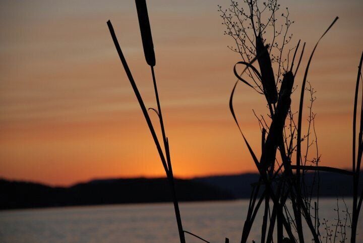 beautiful sunset on the lake