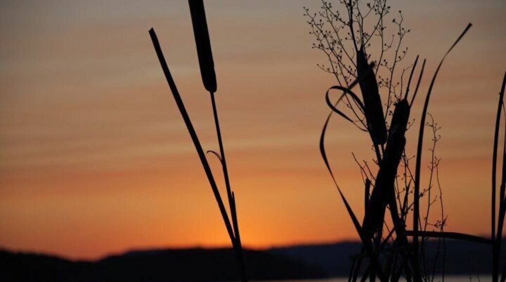 beautiful sunset on the lake