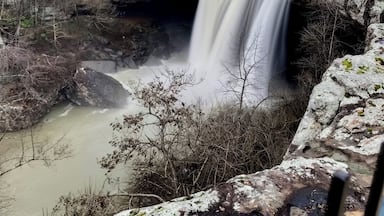 Lots of water recently has made this waterfall in Alabama overflow!! Great hike under and behind the falls as well.