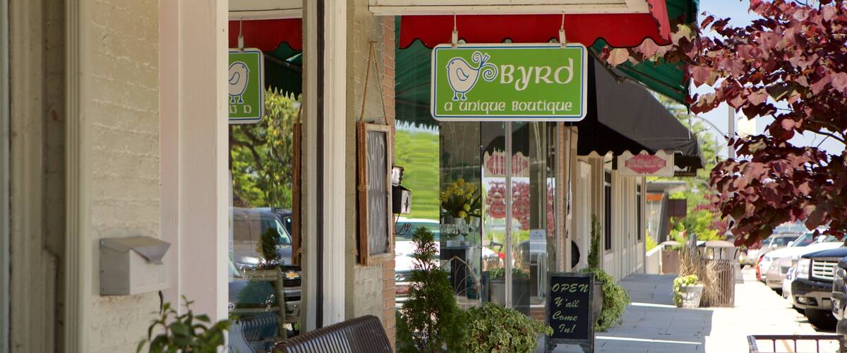 A storefront with a sign reading "Byrd a unique Boutique" and a bird logo.