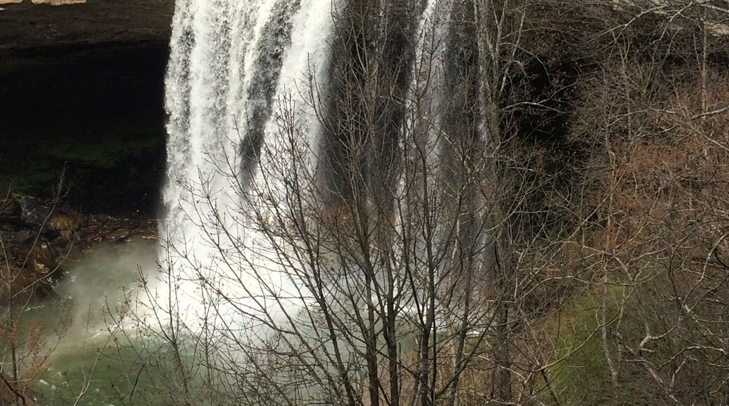 The falls in the fall.