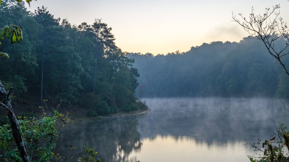 A misty lake surrounded by dense forest.
