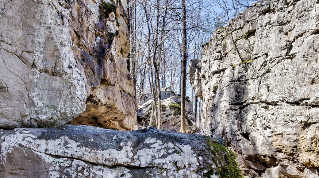 Boulders at Moss Rock Preserve in Hoover, Alabama, USA