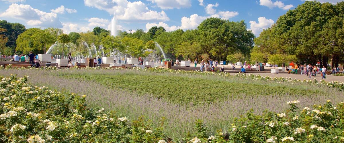 Parque Gorki que incluye un jardín