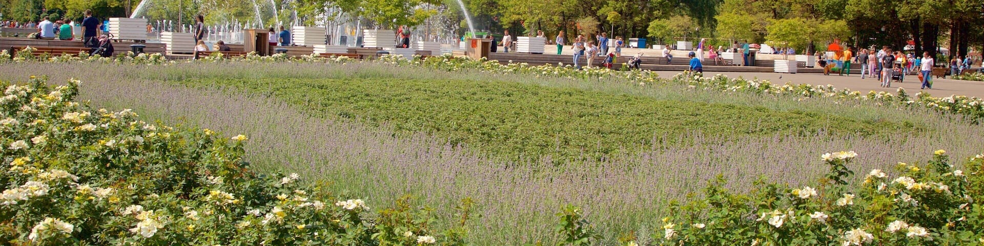 Gorky Park showing a park