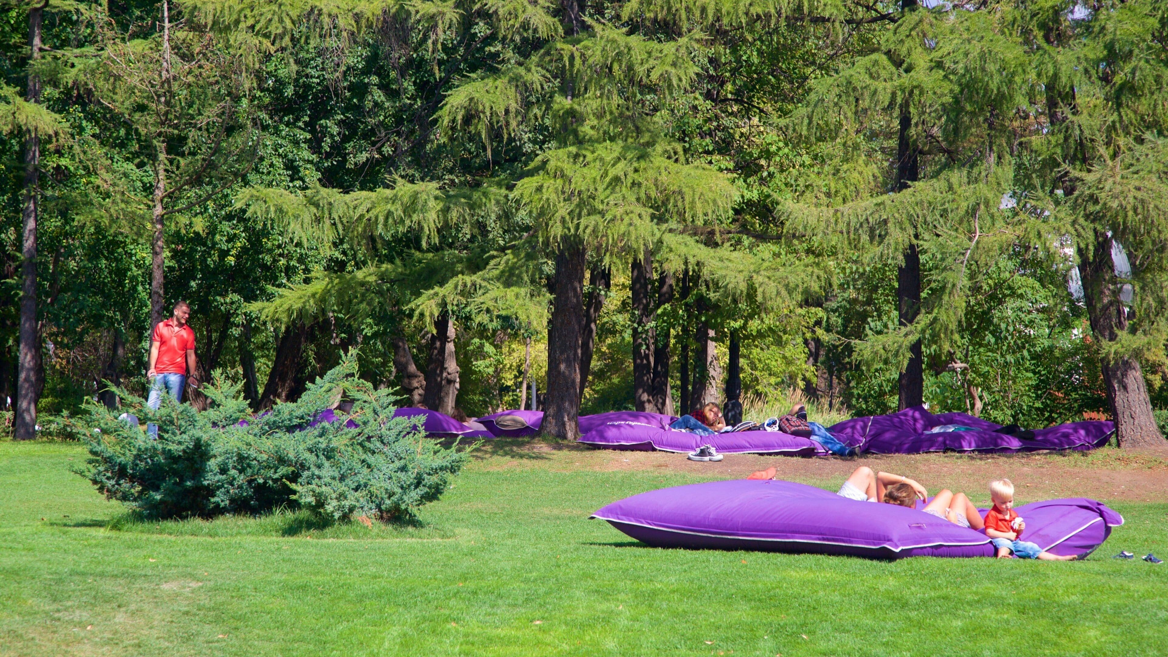 Gorky Park featuring a park