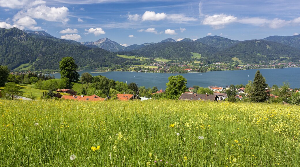 Lake Tegernsee in Bavaria, Germany, in summer