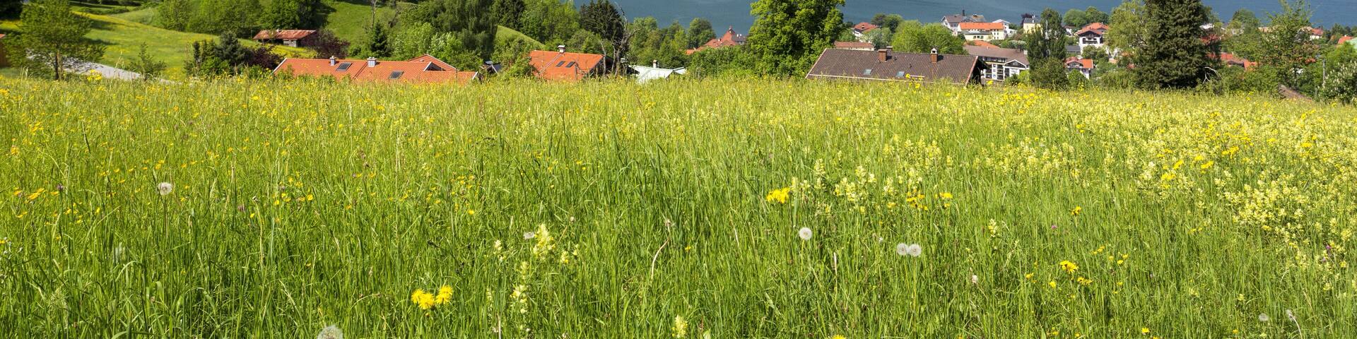 Lake Tegernsee in Bavaria, Germany, in summer