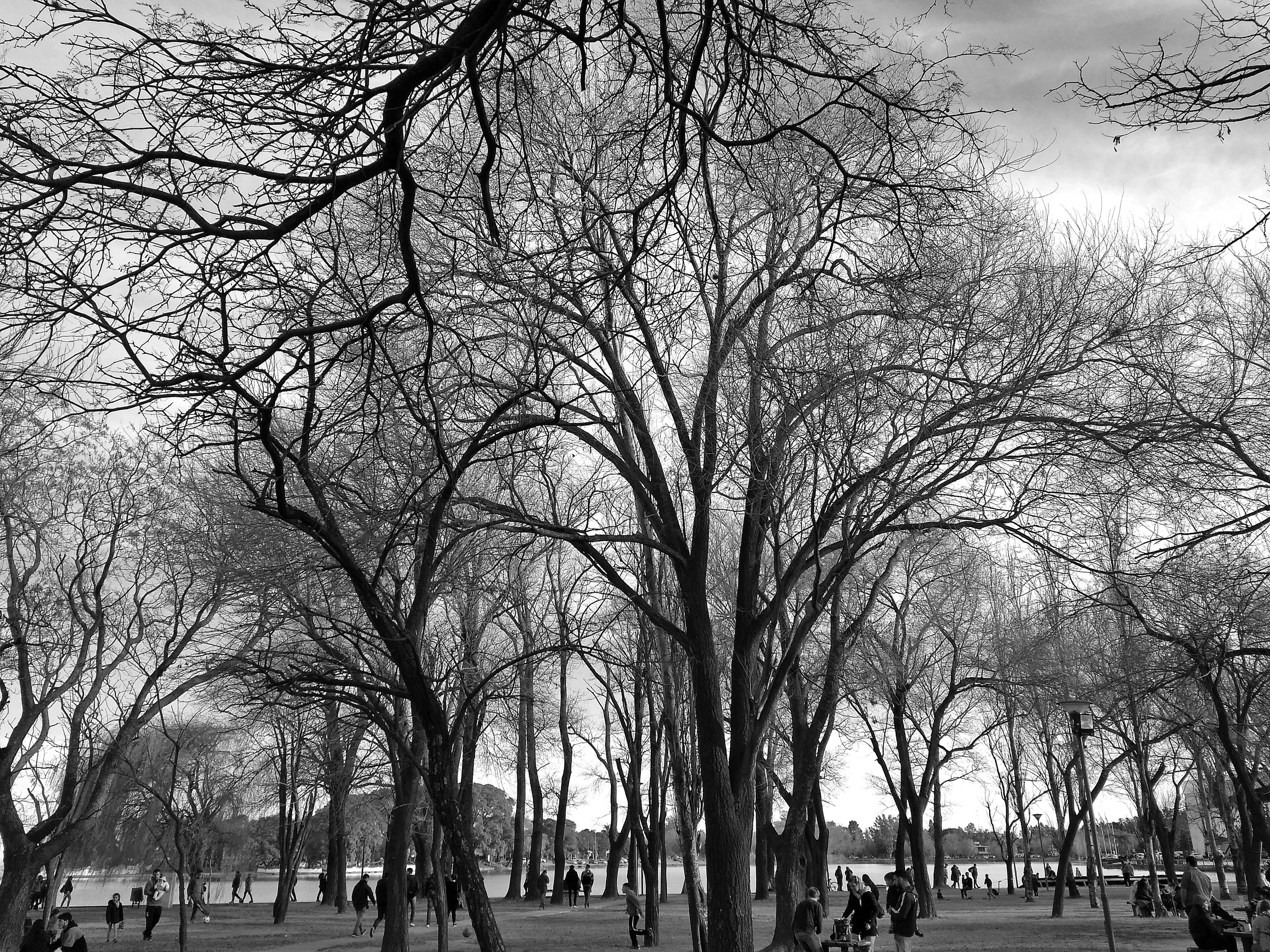 A winter Sunday on the coast of the Ctalamochita river 