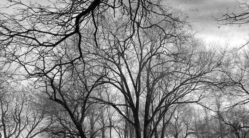 A winter Sunday on the coast of the Ctalamochita river