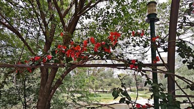 In this quiet place you can enjoy a walk along the coast of the Ctalamochita River