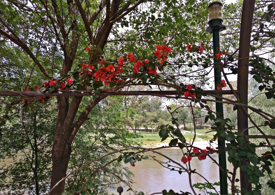 In this quiet place you can enjoy a walk along the coast of the Ctalamochita River