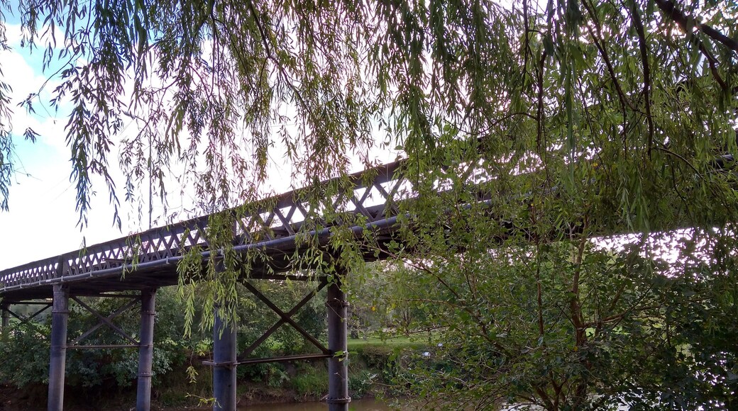 old railway bridge over the Ctalamochita River