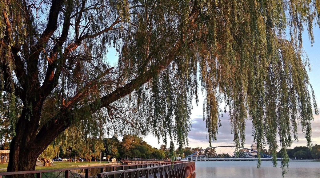 Last days of summer .... Ctalamochita River bank