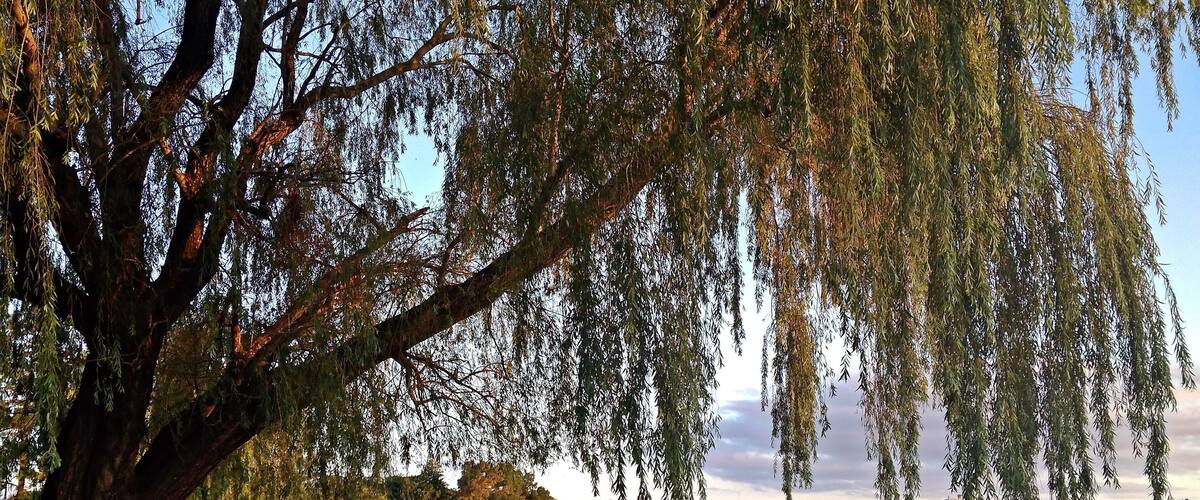 Last days of summer .... Ctalamochita River bank