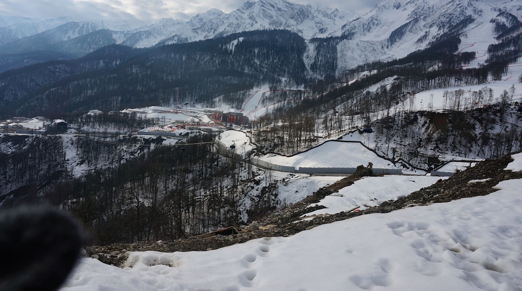 Krasnaya Polyana from a bus window.