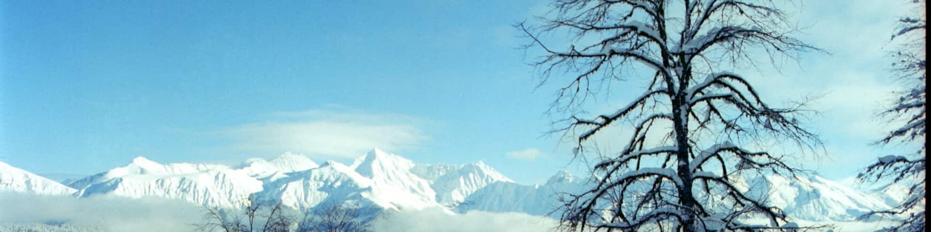 sunny Krasnaya Polyana after snowfalls in december