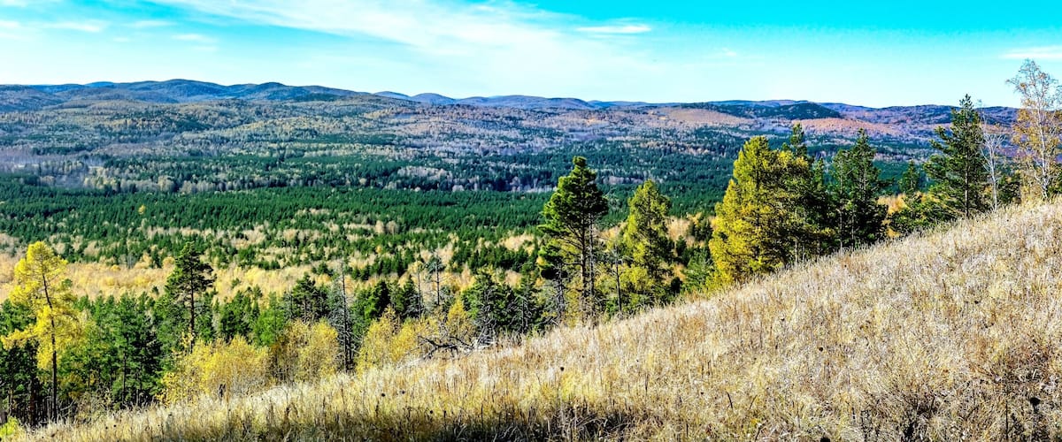 A mountainous landscape with dense forests and a clear sky.