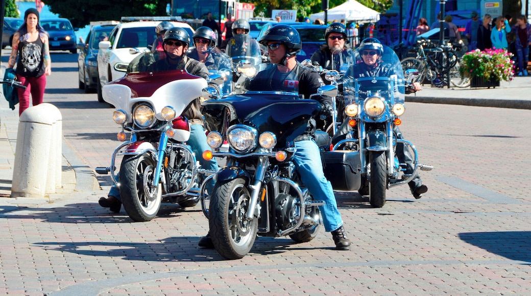 Riding Out!
Kingston, Canada.