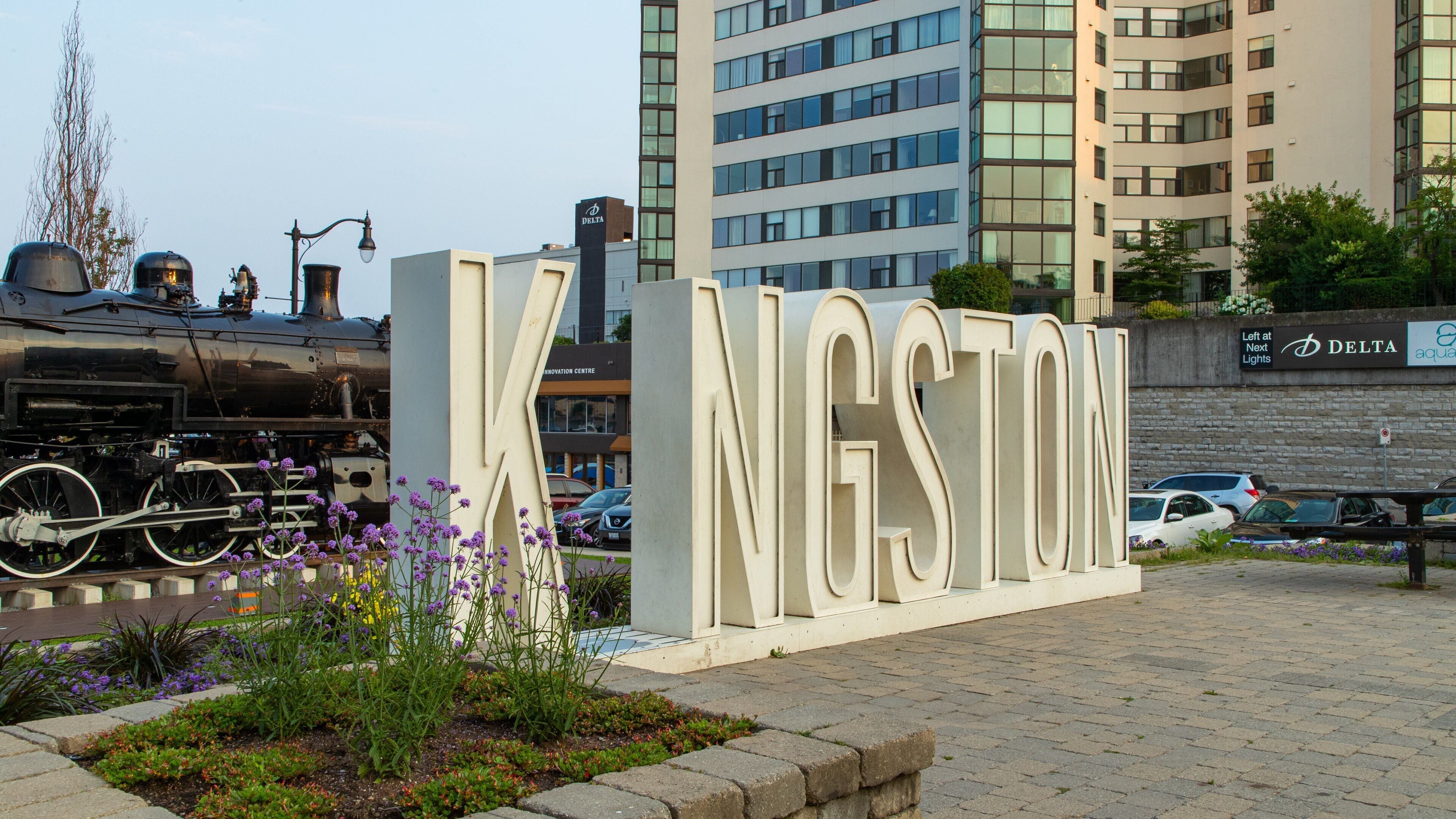 Kingston which includes flowers and signage