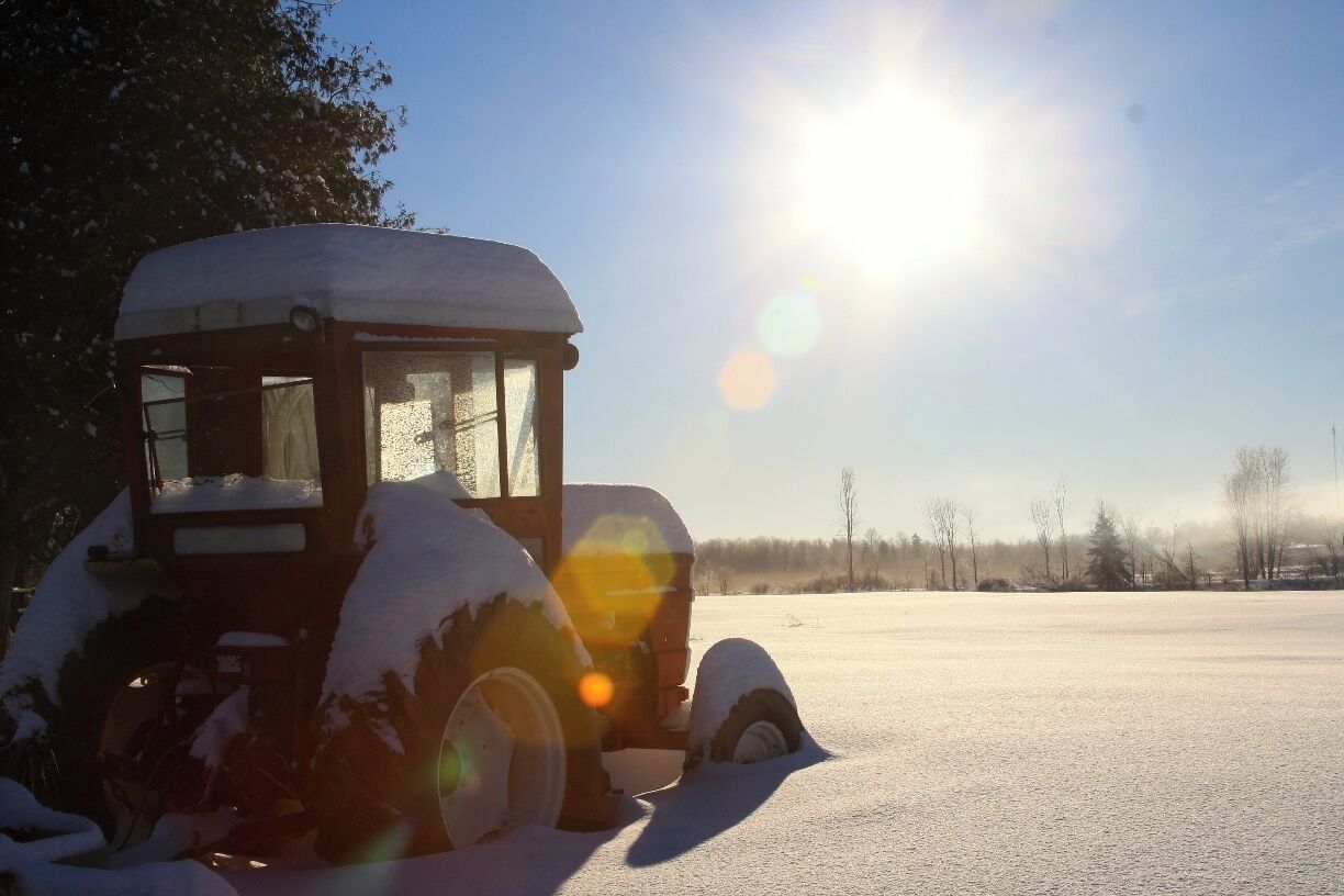 Well this is home, i live on a 100 acre farm and love to explore my land. Couldn't have picked a better way or place to grow up. home is home. 