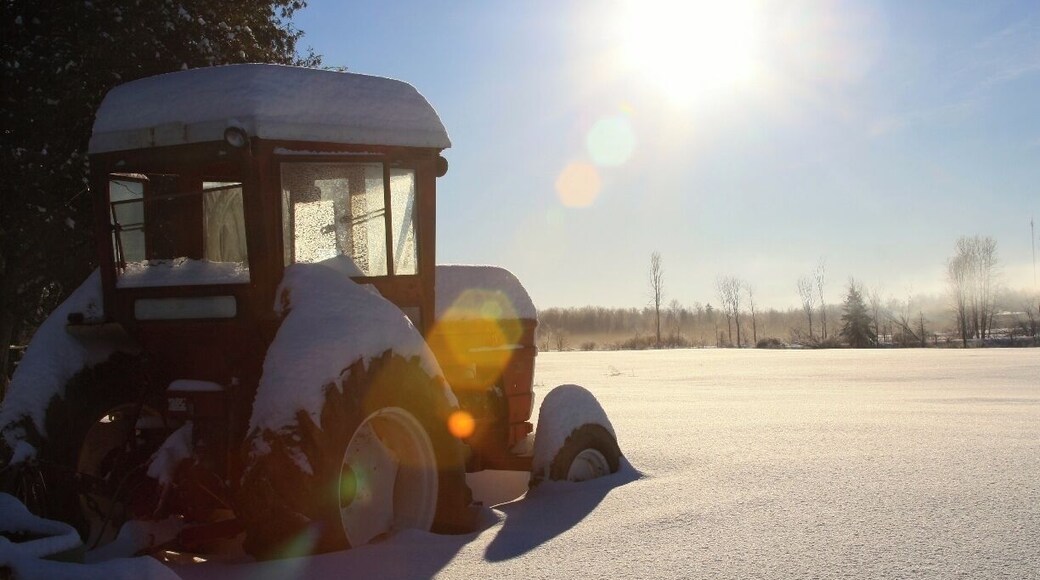 Well this is home, i live on a 100 acre farm and love to explore my land. Couldn't have picked a better way or place to grow up. home is home.