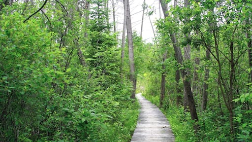 favourite spot in Arnprior