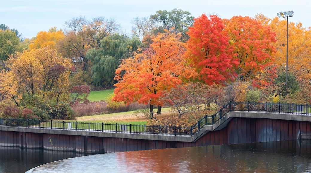 Hydro Park on a beautiful autumn day in Arnprior, Ontario, Canada