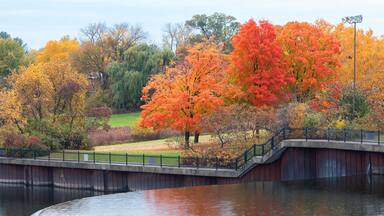 Hydro Park on a beautiful autumn day in Arnprior, Ontario, Canada