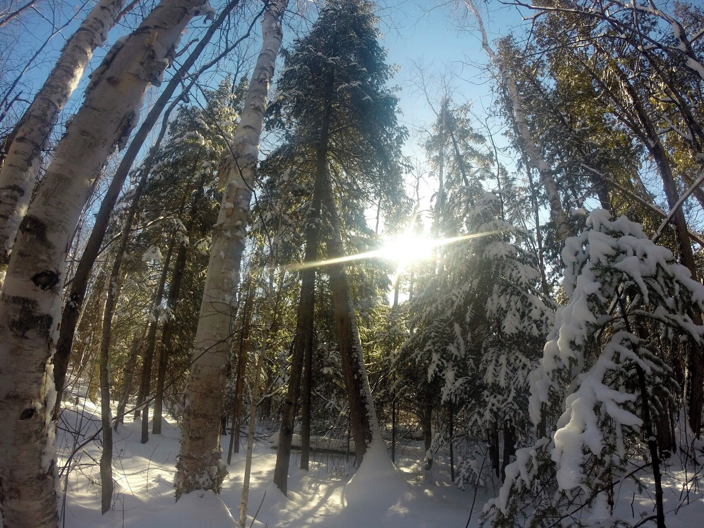 about a month ago everything was covered in snow #canada #ontario #mustdo