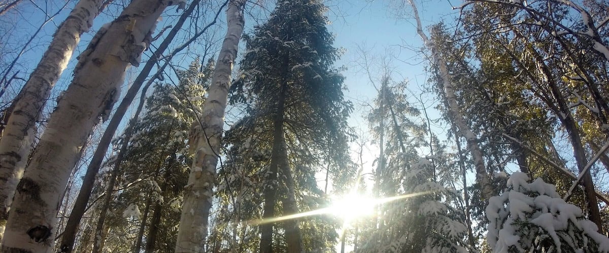 about a month ago everything was covered in snow #canada #ontario #mustdo
