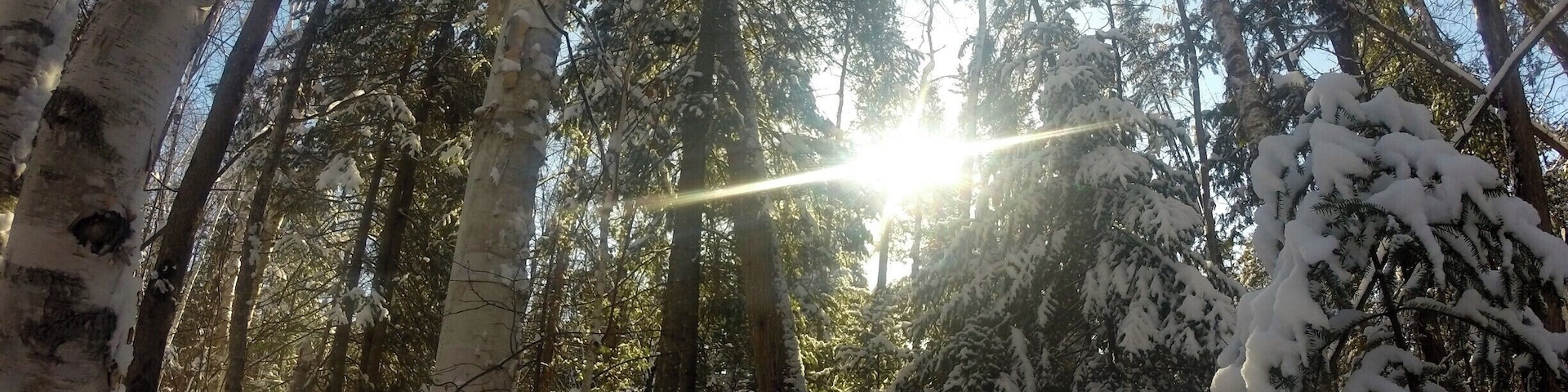 about a month ago everything was covered in snow #canada #ontario #mustdo