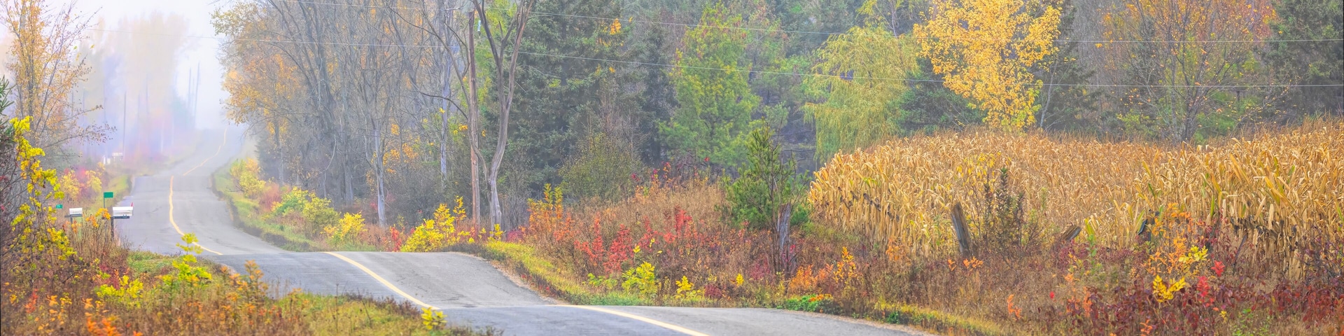 A winding road through a forest with autumn foliage.