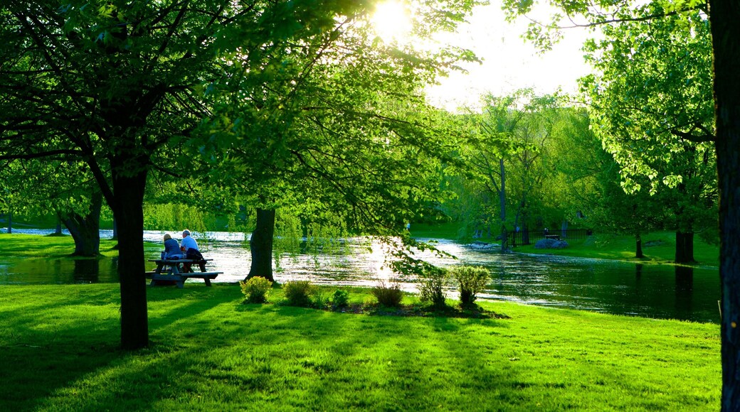 Smiths Falls which includes a river or creek and a park