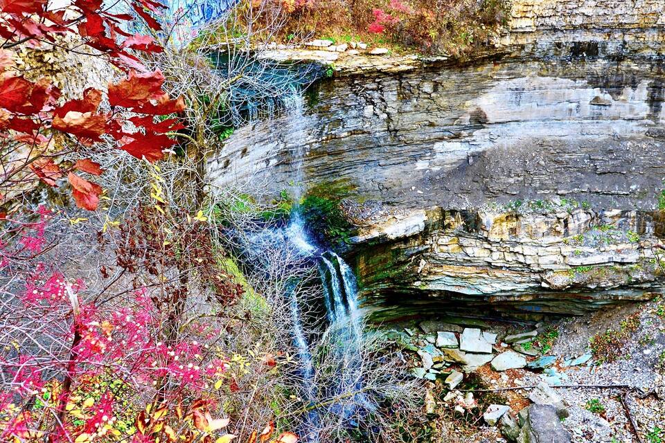 Una cascada que raja per un penya-segada envoltada de fullatge d'autorriu.