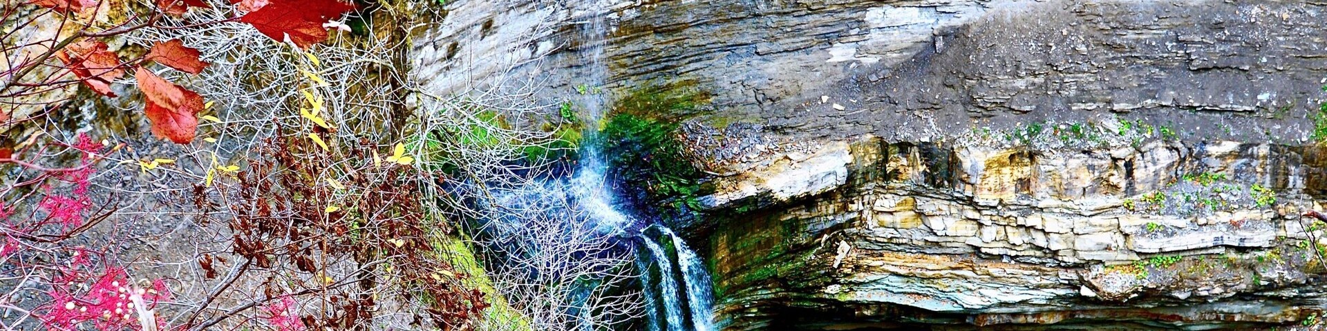 UNESCO World Biosphere Reserve: Niagara Escarpment
Fall exploring this unknown Buttermilk Falls in Upper King’s Forest Park, Hamilton, Ontario, Canada, it’s one of the 70+ waterfalls located in this “City of Waterfalls”.
#Canada #Ontario #Hamilton #Waterfall #GreatOutdoors #Fall #Autumn #escarpment