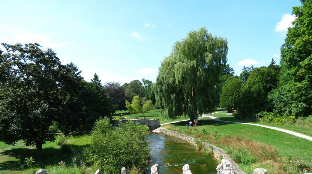 Take a stroll through the park above Webster Falls. It's a nice area to have a picnic or just enjoy the day around the Spencer Gorge/Webster Falls Conservation Area.