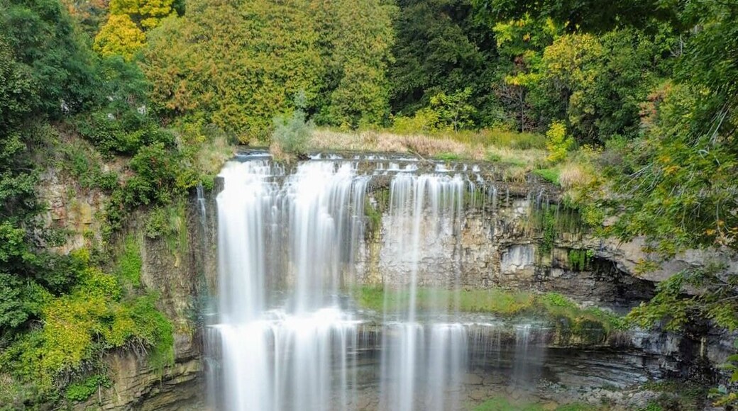 Webster Falls - 76ft curtain falls.
You can hit up a number of waterfalls in short order while exploring The City of Waterfalls - Hamilton, Ontariothe. Along the Niagara Escarpment, there are more than 100 waterfalls and cascades.
#Trovember