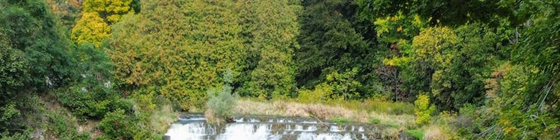 Webster Falls - 76ft curtain falls.
You can hit up a number of waterfalls in short order while exploring The City of Waterfalls - Hamilton, Ontariothe. Along the Niagara Escarpment, there are more than 100 waterfalls and cascades.
#Trovember