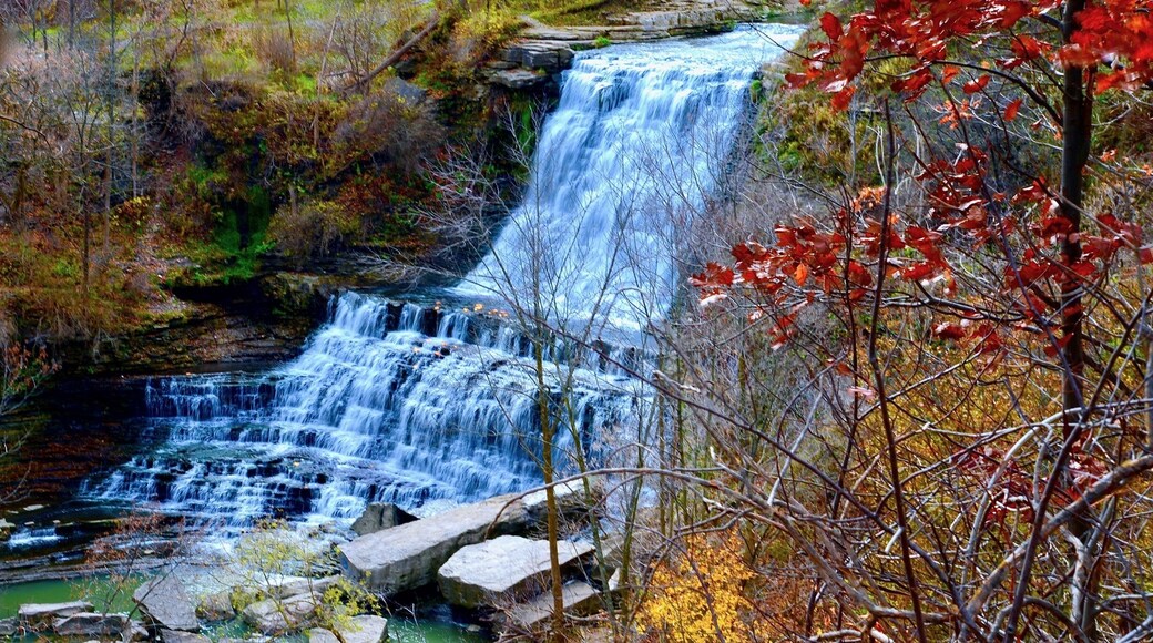 UNESCO World Biosphere Reserve: The Niagara Escarpment
Autumn at Albion Falls - One of the 70+ waterfalls in the city of waterfalls - Hamilton, Ontario, Canada.
#waterfall #Canada #Ontario #Hamilton #NiagaraEscarpment #BruceTrail #hiking #NorthAmerica #red #AlbionFalls #AdventurePacked #LikeALocal