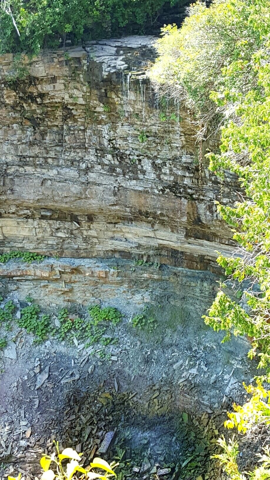 Not much of a flow when I hiked the area so it's hard to see, but this is Borer's Falls. From the parking lot, you basically follow the highway for a little while before you come across the trail. I actually waded across the top of the falls without realizing it at first, so be wary especially with children seeing as things aren't clearly marked.