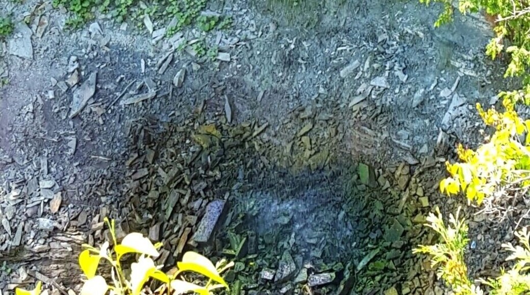 Not much of a flow when I hiked the area so it's hard to see, but this is Borer's Falls. From the parking lot, you basically follow the highway for a little while before you come across the trail. I actually waded across the top of the falls without realizing it at first, so be wary especially with children seeing as things aren't clearly marked.