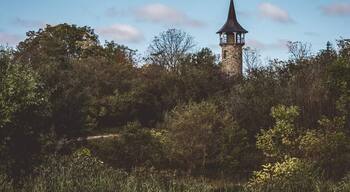 This is a tower in Kitchener, Waterloo Ontario that has been standing since the 1800's
#BSVtover