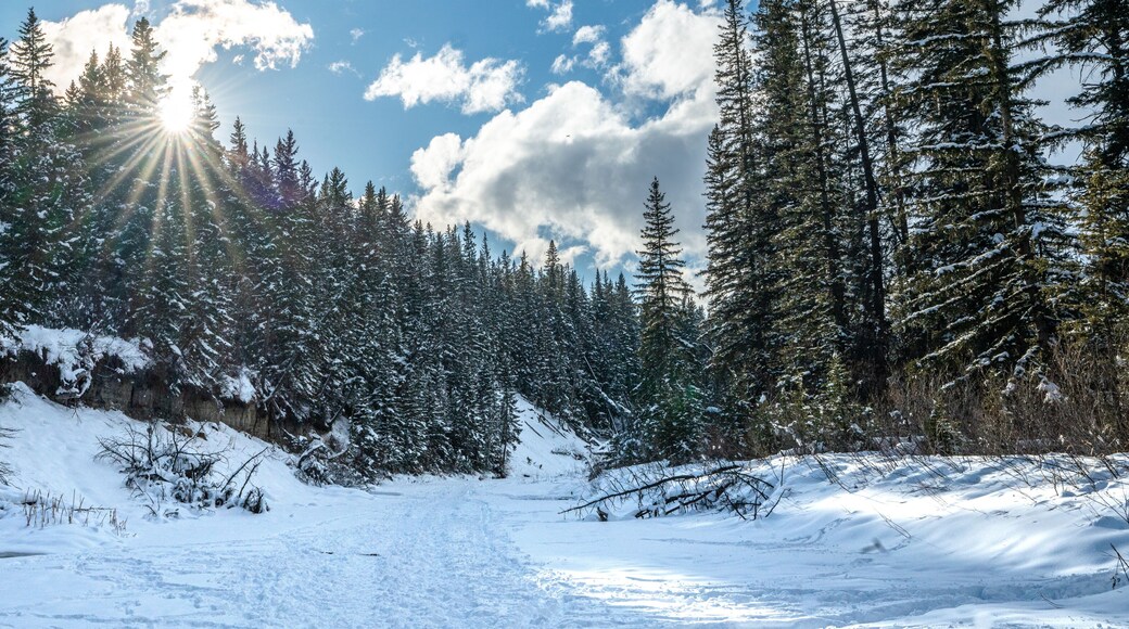 Calgary South