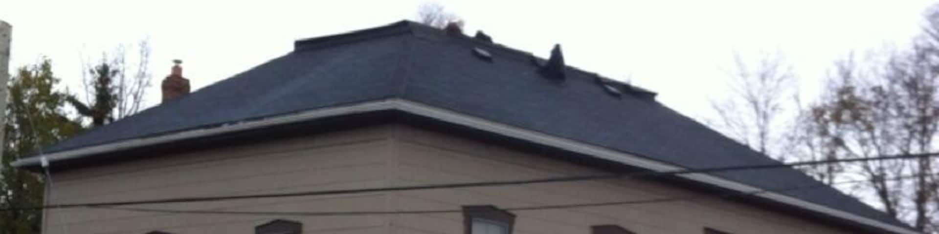 Great little cafe. Sit inside or out (even in the rain !).
I could live on the oatmeal-raisin cookies.