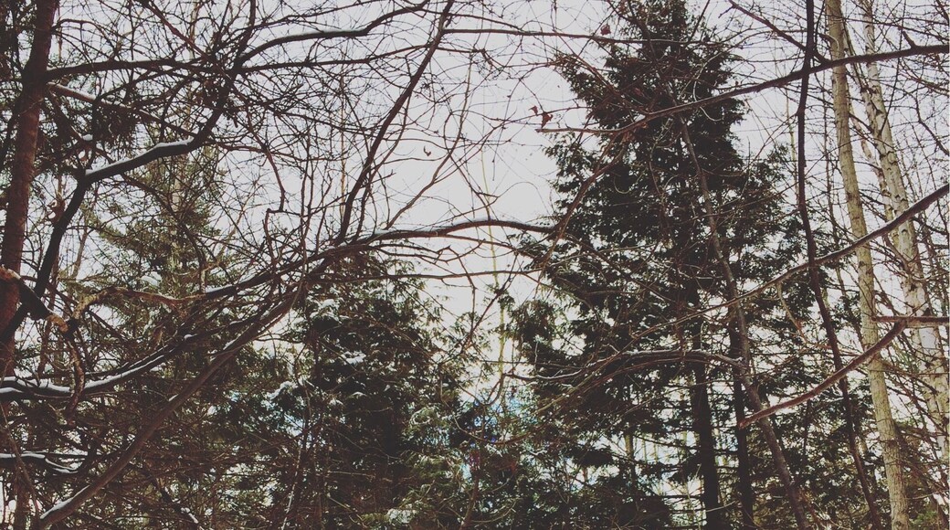 More from a beautiful day #hiking in Komoka Provincial Park - #hike #ontario #canada