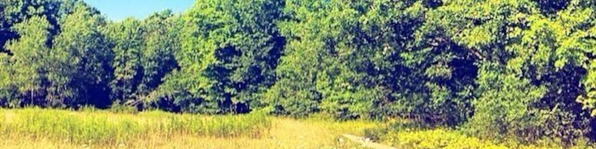 { Fresh air and flowers } đŒđ #backyardadventures #exploreontario #ontario #canada #nature #wild #flowers #meadow #beautiful #adventure #getoutside #explore #wander