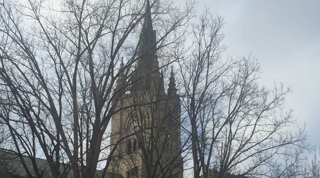 Took some time to visit the Western University Campus. Main campus is beautiful. Lots of old buildings and mature trees make for a beautiful setting.